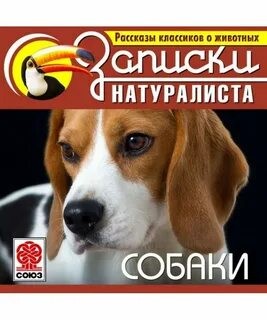 Лев Николаевич Толстой, Антон Павлович Чехов, Иван Алексеевич Бунин, Джек Лондон, Леонид Андреев, Александр Иванович Куприн, Иван Сергеевич Тургенев, Юрий Казаков, Дмитрий Мамин-Сибиряк, Эрнест Сетон-Томпсон, Алексей Новиков-Прибой, Генри Лоусон, Мария Шк - Рассказы классиков о животных. Собаки