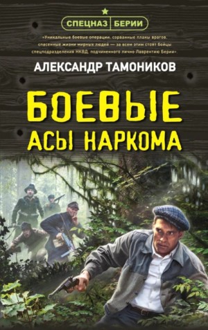 Александр Тамоников - Спецназ Берии. Максим Шелестов: 13. Боевые асы наркома