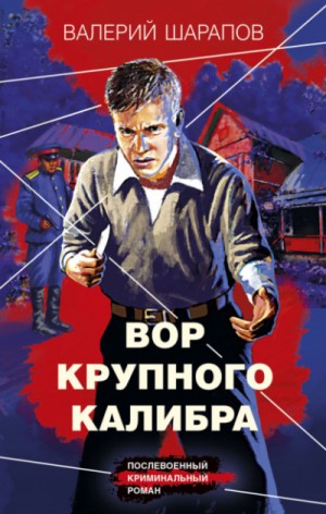 Сергей Жоголь / Валерий Шарапов - Вор крупного калибра