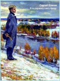 Сборник: "Я по первому снегу бреду..."
