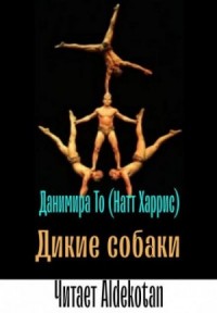 Дикие собаки