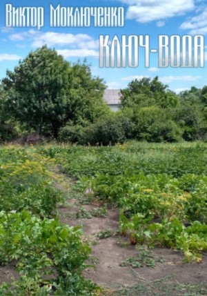 Виктор Моключенко - Ключ-вода