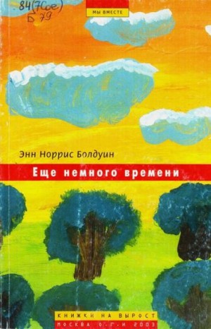 Энн Норрис Болдуин - Ещё немного времени