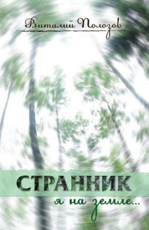 Виталий Полозов - Странник я на земле...