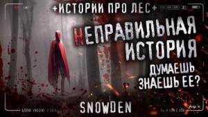 Snow Den - Неправильная история