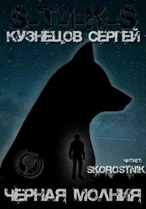 Сергей Юрьевич Кузнецов - S-T-I-K-S. Чёрная Молния