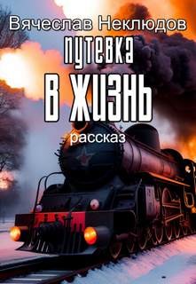 Вячеслав Неклюдов - Путевка в жизнь