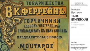 Михаил Афанасьевич Булгаков - Записки юного врача: 5. Тьма египетская