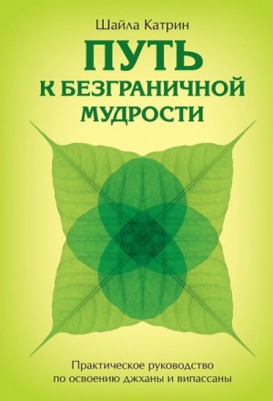 Катерин Шайла - Путь к безграничной мудрости. Практическое руководство по освоению джханы и випассаны