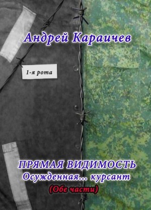 Андрей Караичев - Прямая видимость