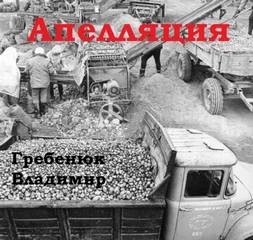 Владимир Гребенюк - Апелляция