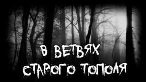 Владимир Леонтьев - В ветвях старого тополя