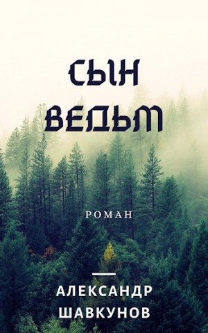 Александр Шавкунов - Последствия. Сын Ведьм