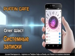 Олег Шаст - Системные записки