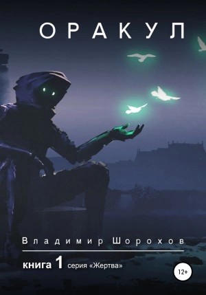 Владимир Шорохов - Оракул. Книга 1