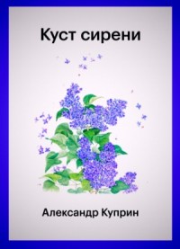 Куст сирени