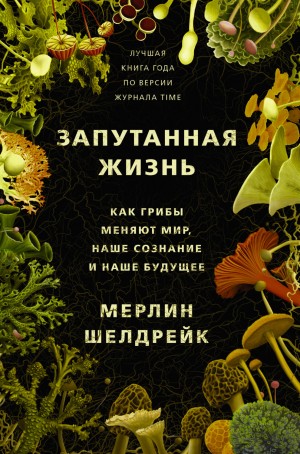 Мерлин Шелдрейк - Запутанная жизнь. Как грибы меняют мир, наше сознание и наше будущее