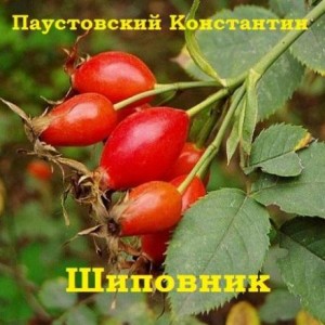 Константин Паустовский - Шиповник