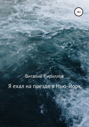 Виталий Александрович Кириллов - Я ехал на поезде в Нью-Йорк