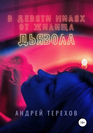 Андрей Сергеевич Терехов - В девяти милях от жилища дьявола