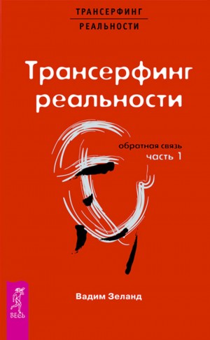 Вадим Зеланд - Обратная связь. Часть 1