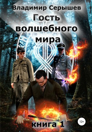 Владимир Серышев - Гость волшебного мира. Книга 1