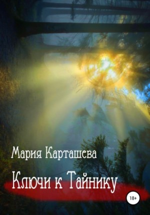 Мария Карташева - Сборник «Ключи к Тайнику»; «Дело №НК-27»