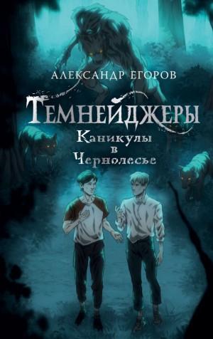 Александр Егоров - Темнейджеры. Каникулы в Чернолесье