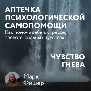 Марк Фишер - Аптечка психологической самопомощи: Чувство гнева