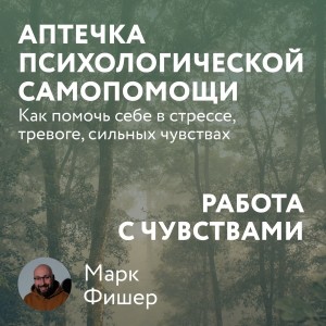 Марк Фишер - Аптечка психологической самопомощи: Работа с чувствами