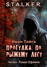 Прогулка по Рыжему лесу