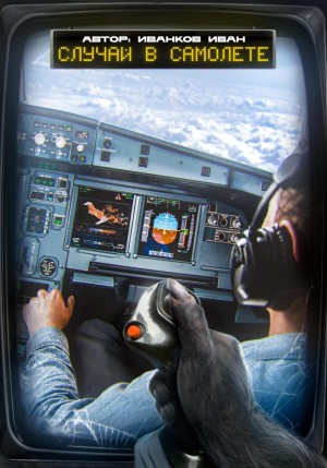 Иван Иванков - Случай в самолёте