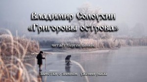 Владимир Солоухин - Григоровы острова (Заметки о зимнем ужении рыбы)