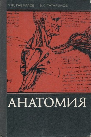 Леопольд Гаврилов, Василий Татаринов - Анатомия