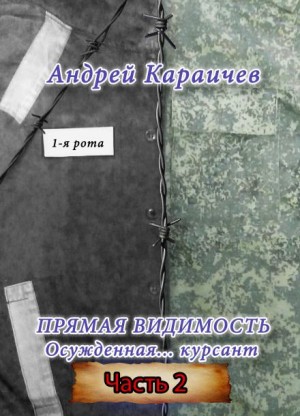 Андрей Караичев - Прямая видимость. Часть 2