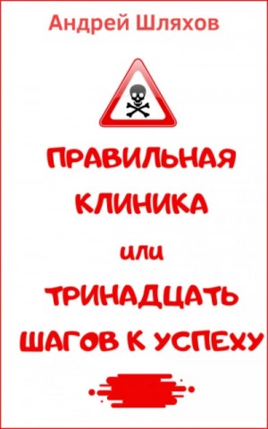 Андрей Шляхов - Правильная клиника, или 13 шагов к успеху