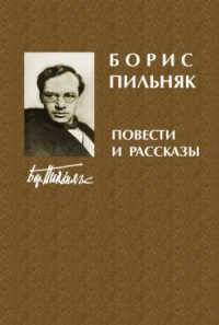 Голый год попечительство-и-опека.рфка. Проблематика. Особенности стиля