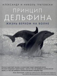 Принцип дельфина жизнь верхом на волне