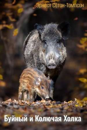Эрнест Сетон-Томпсон - Буйный и Колючая Холка