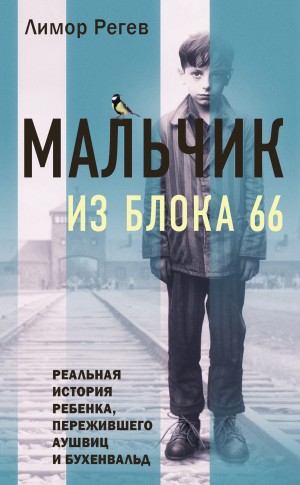 Лимор Регев - Мальчик из Блока 66. Реальная история ребенка, пережившего Аушвиц и Бухенвальд