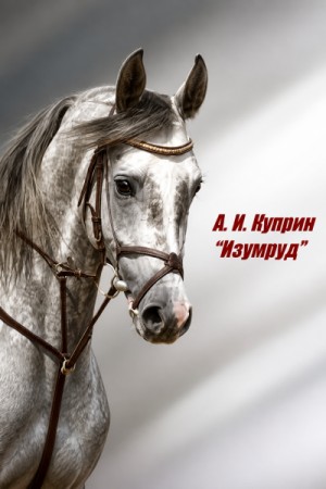 Александр Иванович Куприн - Изумруд