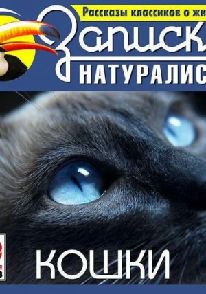 Антон Павлович Чехов, Александр Иванович Куприн, Борис Житков, Эрнест Сетон-Томпсон - Рассказы классиков о животных. Кошки