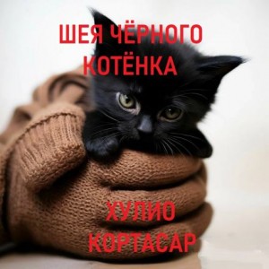 Хулио Кортасар - Шея чёрного котёнка