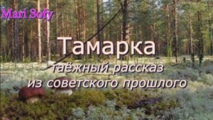 Юрий Насыбуллин - Тамарка