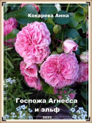 Анна Кокарева - Госпожа Агнесса и эльф