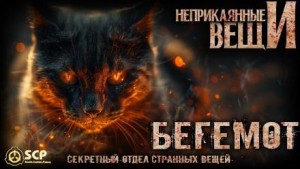 Константин Волкичевский - Бегемот