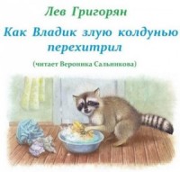 Как Владик злую колдунью перехитрил