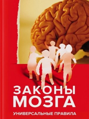 Андрей Курпатов - Законы мозга. Универсальные правила