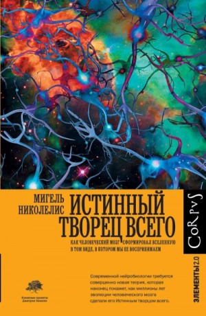 Мигель Николелис - Истинный творец всего. Как человеческий мозг сформировал вселенную в том виде, в котором мы ее воспр