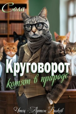 Сола  - Круговорот котят в природе